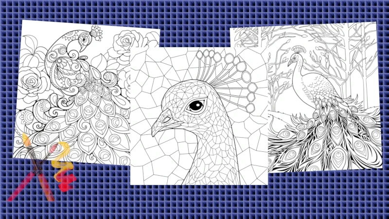 Peacock Coloring Pages