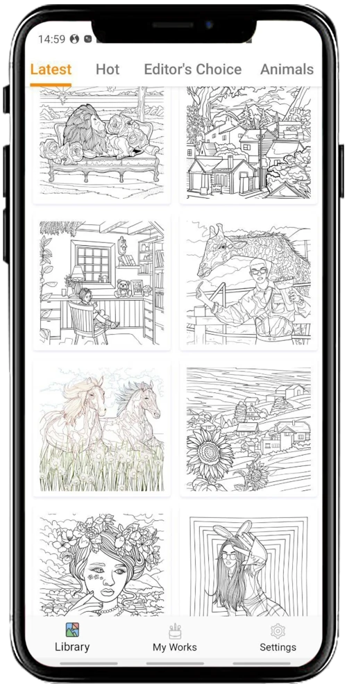 App interface