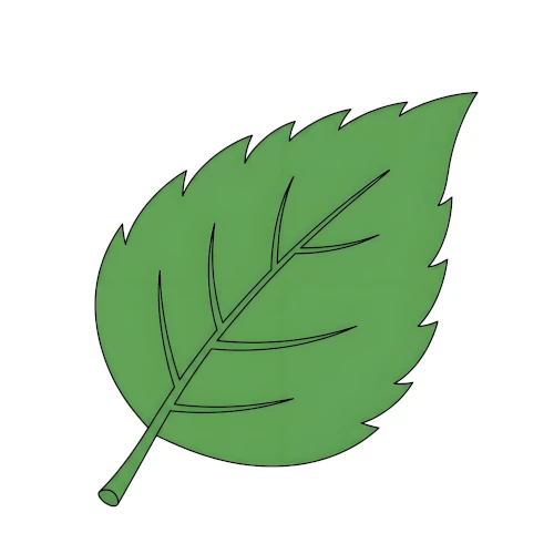 Single layer example